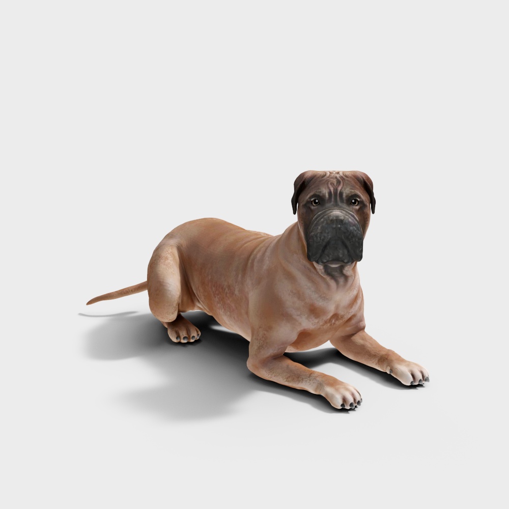 Low Polygon Bullmastiff Dog 3D model