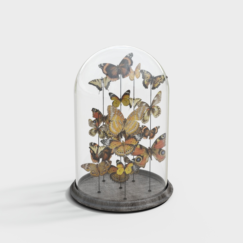 butterfly specimen bottle