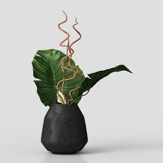 Urban Jungle 3D model - Lush Plant Design