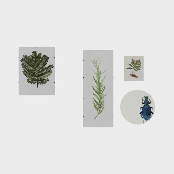 Nature-Inspired 3D Model Collection