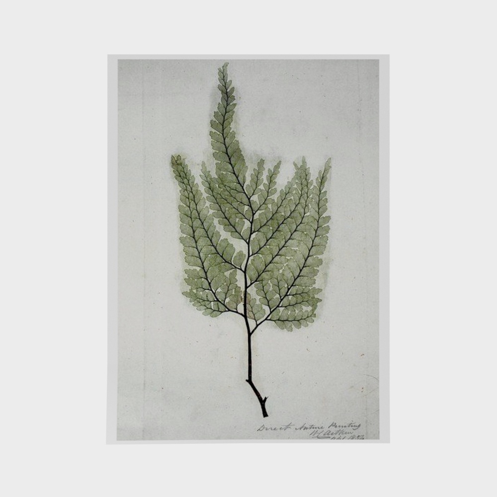 Nordic wall decoration painting