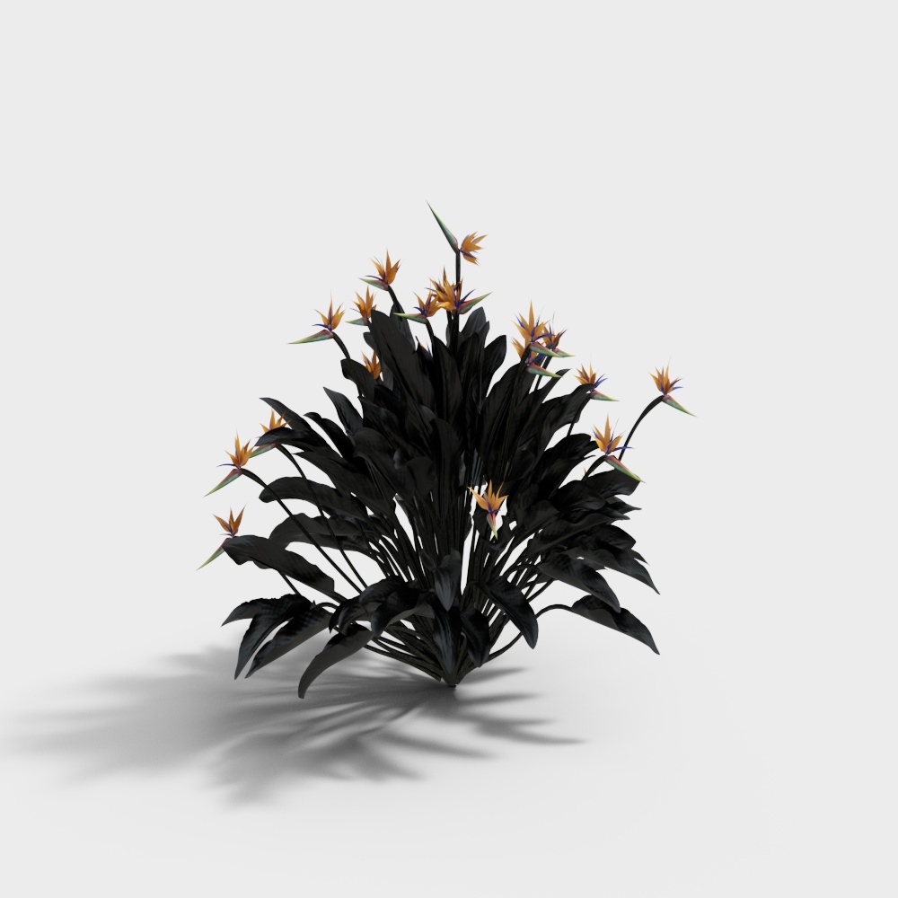 outdoor green plants