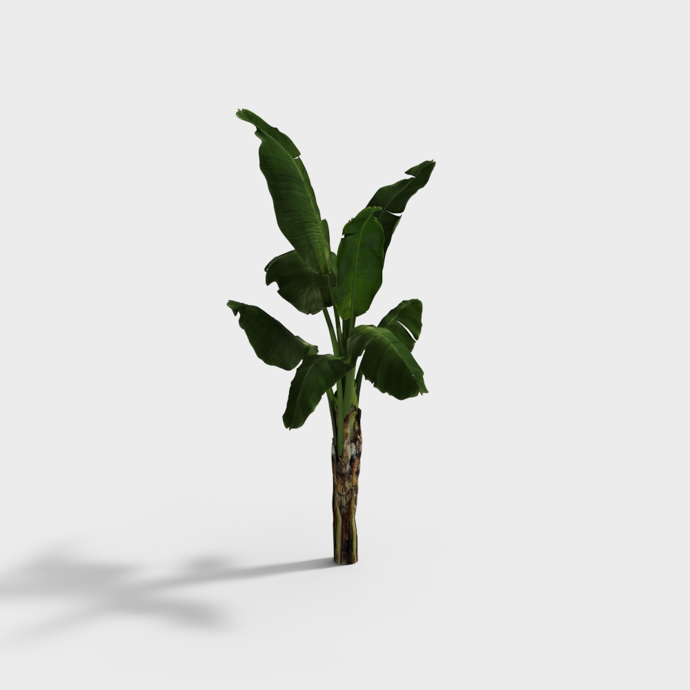 outdoor green plants