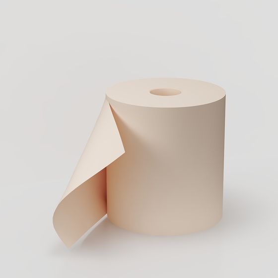 Unfolding Paper Roll 3D model