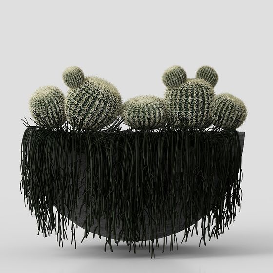 Desert Oasis 3D Model - Vibrant Cactus Planter