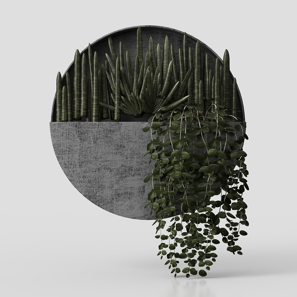 flores ornamentales de plantas de pared