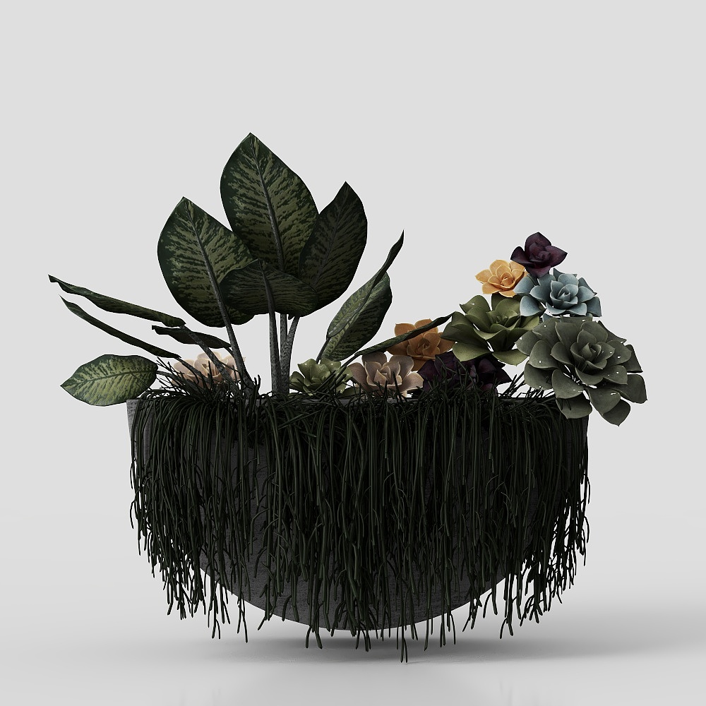 fleurs ornementales de plantes murales