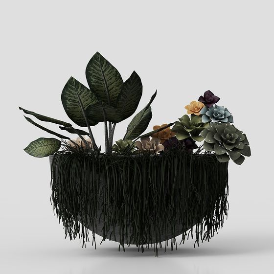 fleurs ornementales de plantes murales