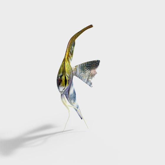 Dreamy Colorful Fish 3D model