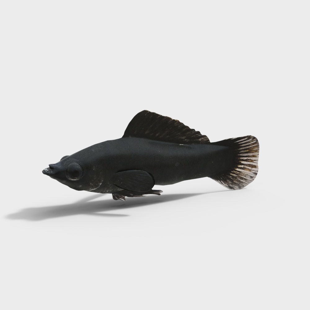 Elegant Black Fish 3D Model for Unique Creations