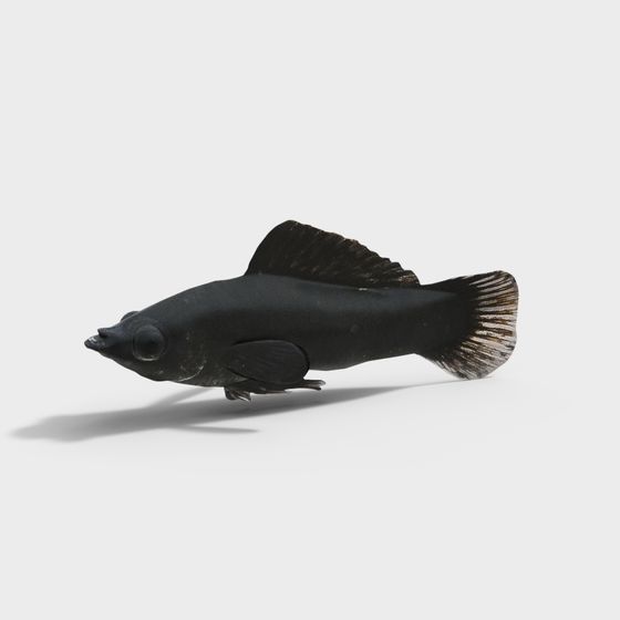 Elegant Black Fish 3D Model for Unique Creations