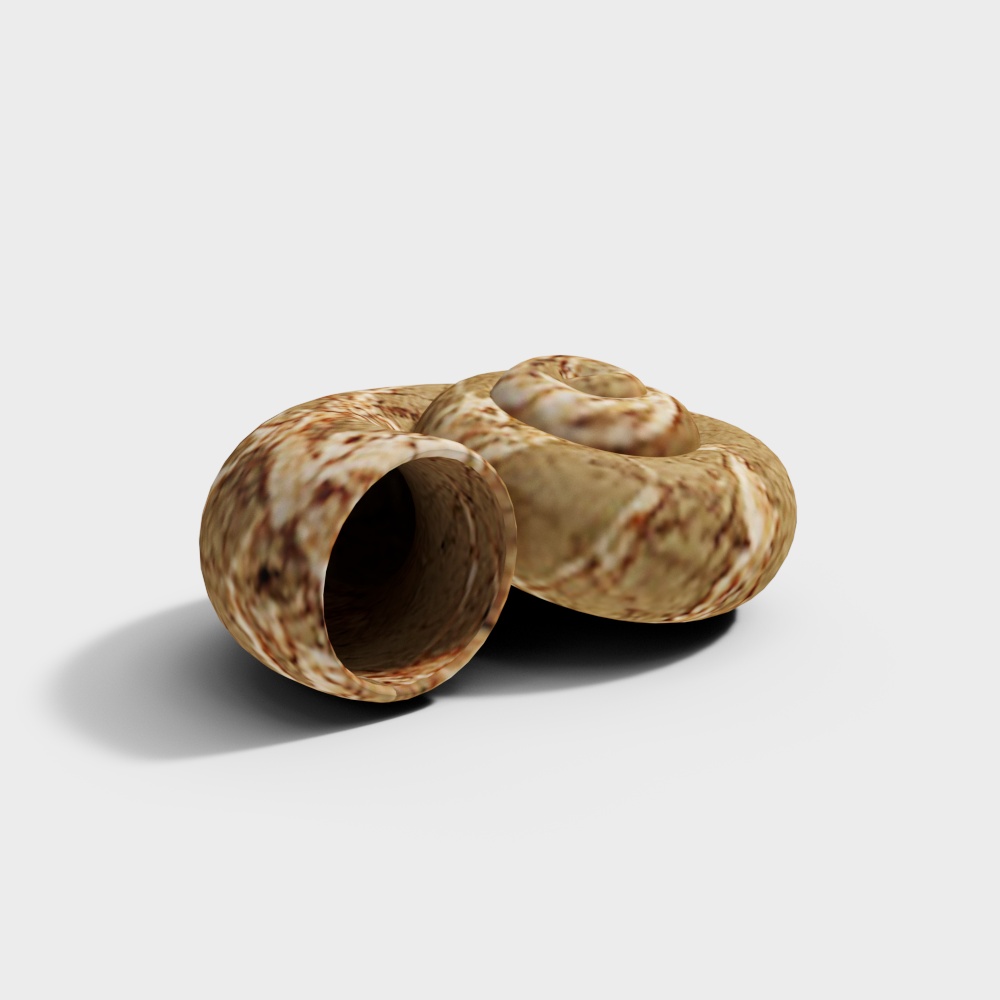 Spiral Shell 3D Model