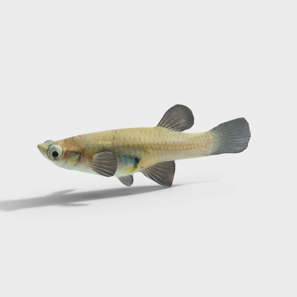 Aquatic Sprite 3D model