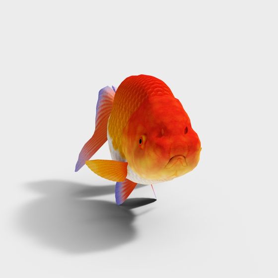 Vibrant Goldfish 3D model for Aquatic Scenes