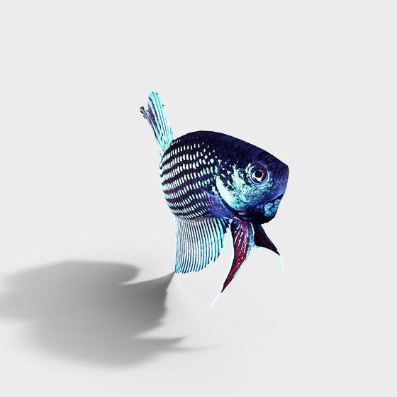 Vibrant Tropical Fish 3D Model for Various Applications