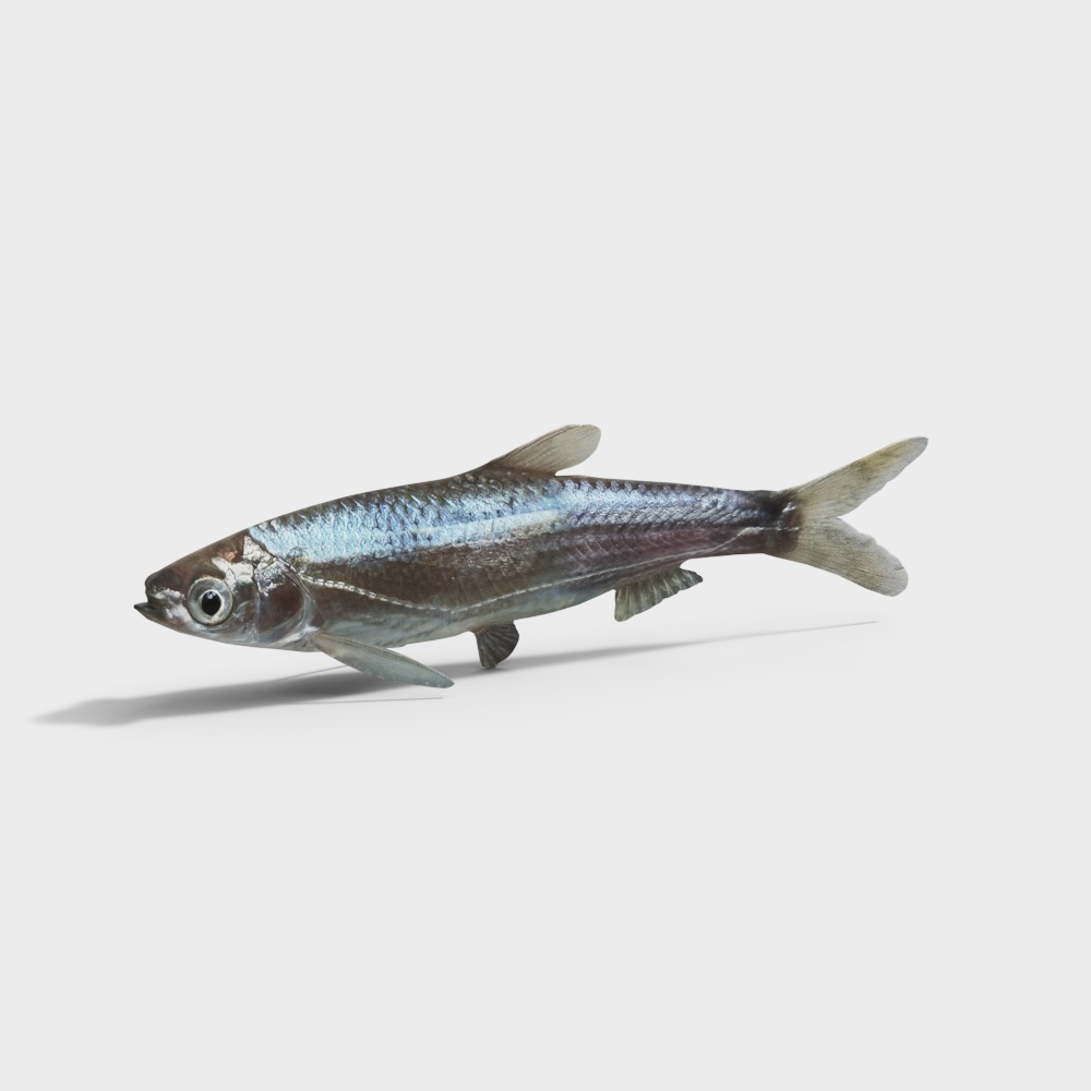 Vibrant 3D Model of a Lifelike Fish