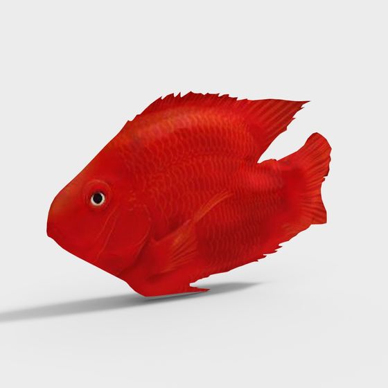 Red Aquarium Fish 3D model