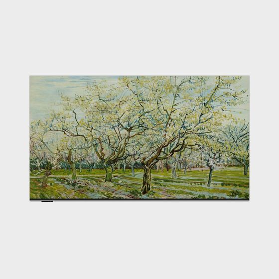 TV dán tường Skyworth W55D