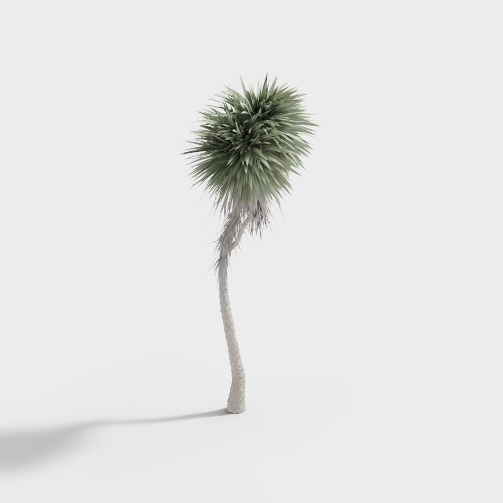 outdoor green plants