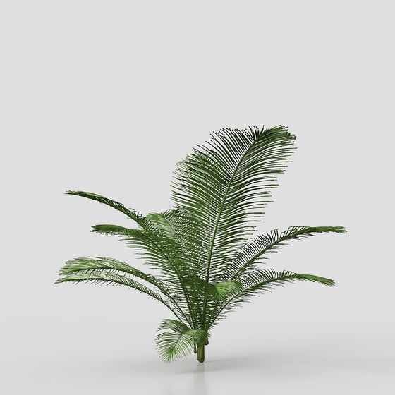 Vibrant Tropical Palm Tree 3D Model for Creative Projects