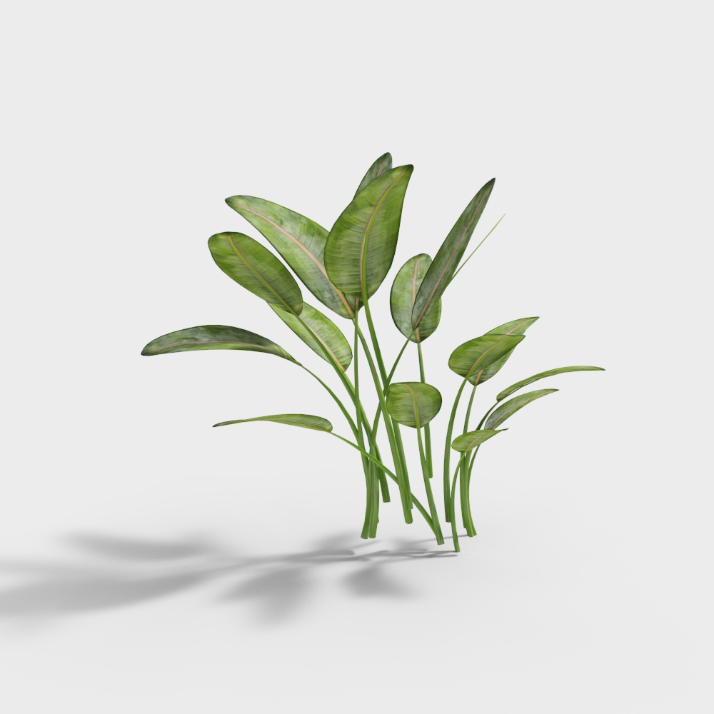 outdoor green plants