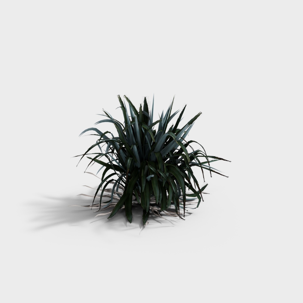 Desert Oasis Low-Poly 3D Model