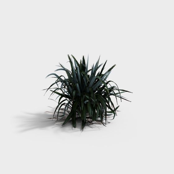 Desert Oasis Low-Poly 3D Model