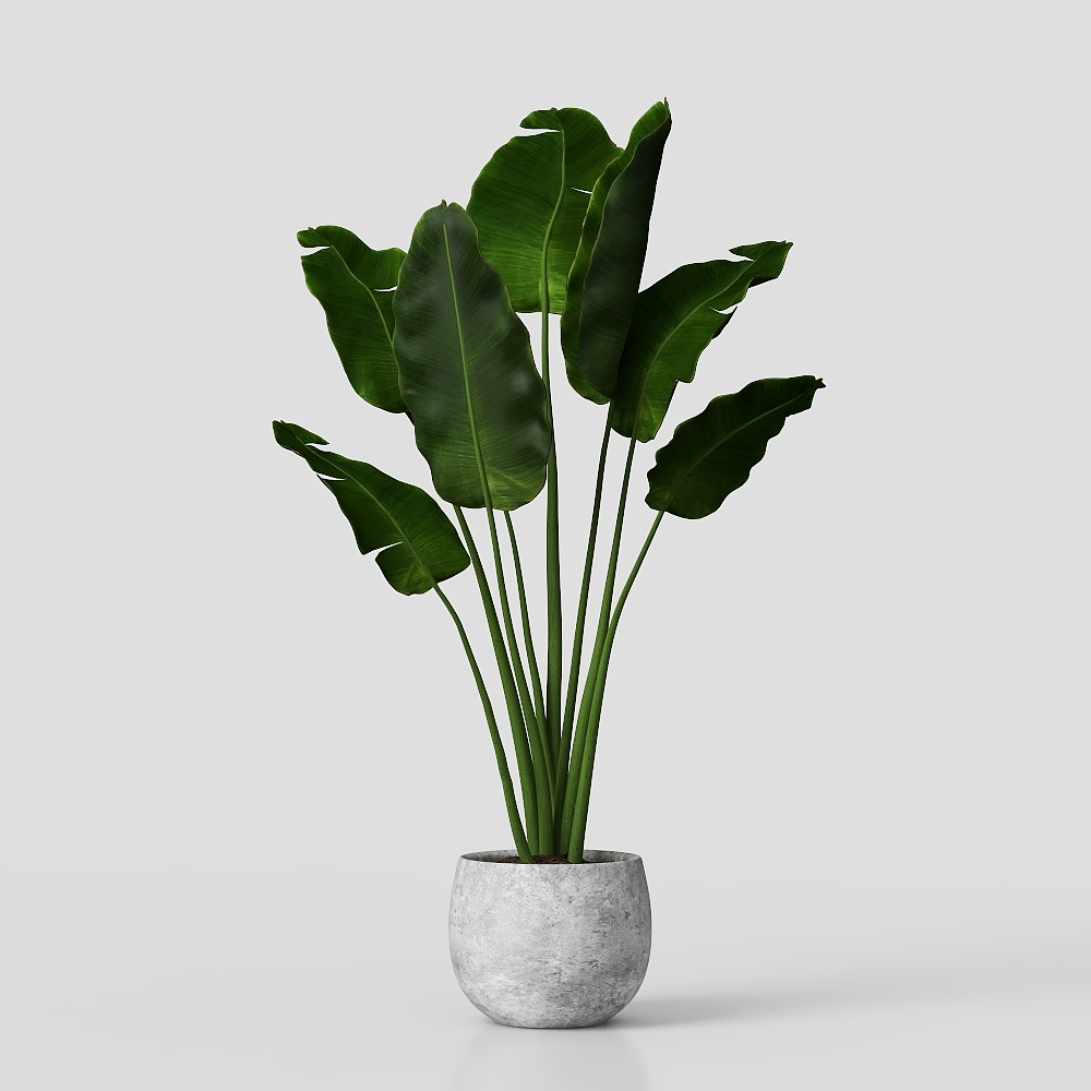 adornos de plantas verdes