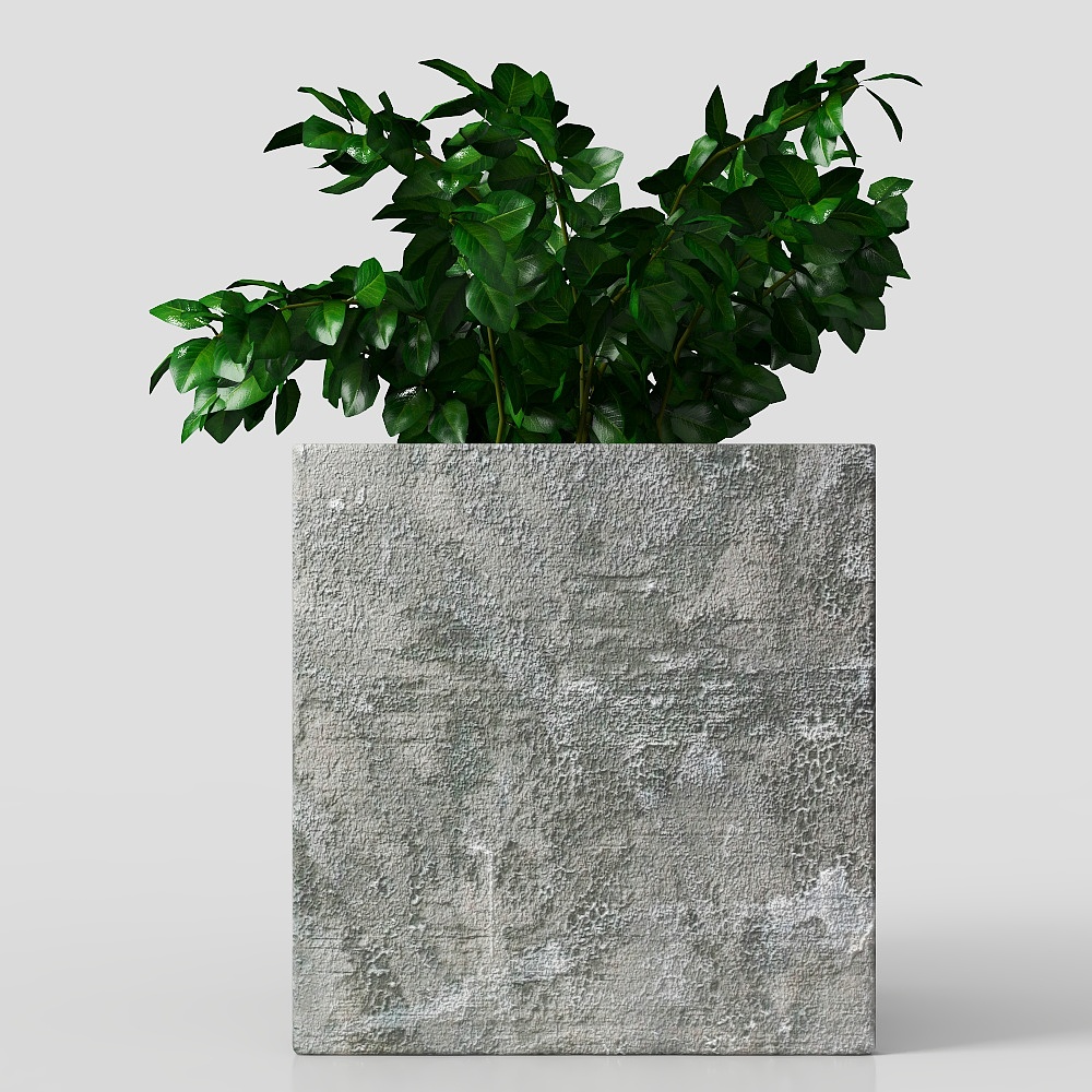 ornamenti di piante verdi