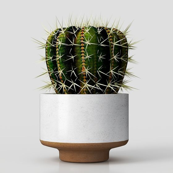 Vibrant Low-Poly Cactus 3D model