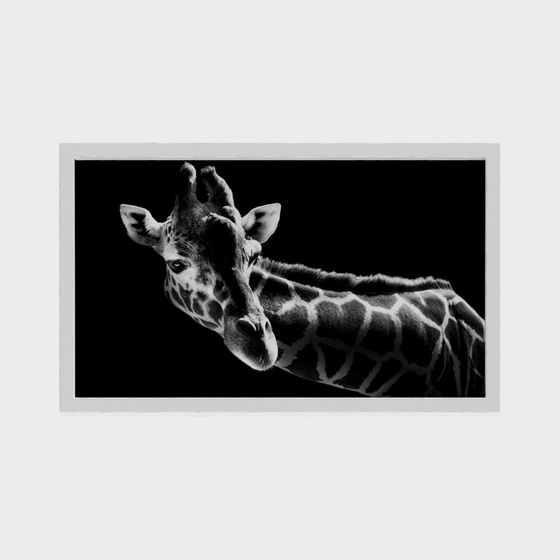 Elegant Low-Poly Giraffe 3D Model