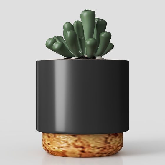Lush Succulent Plant Pot 3D model