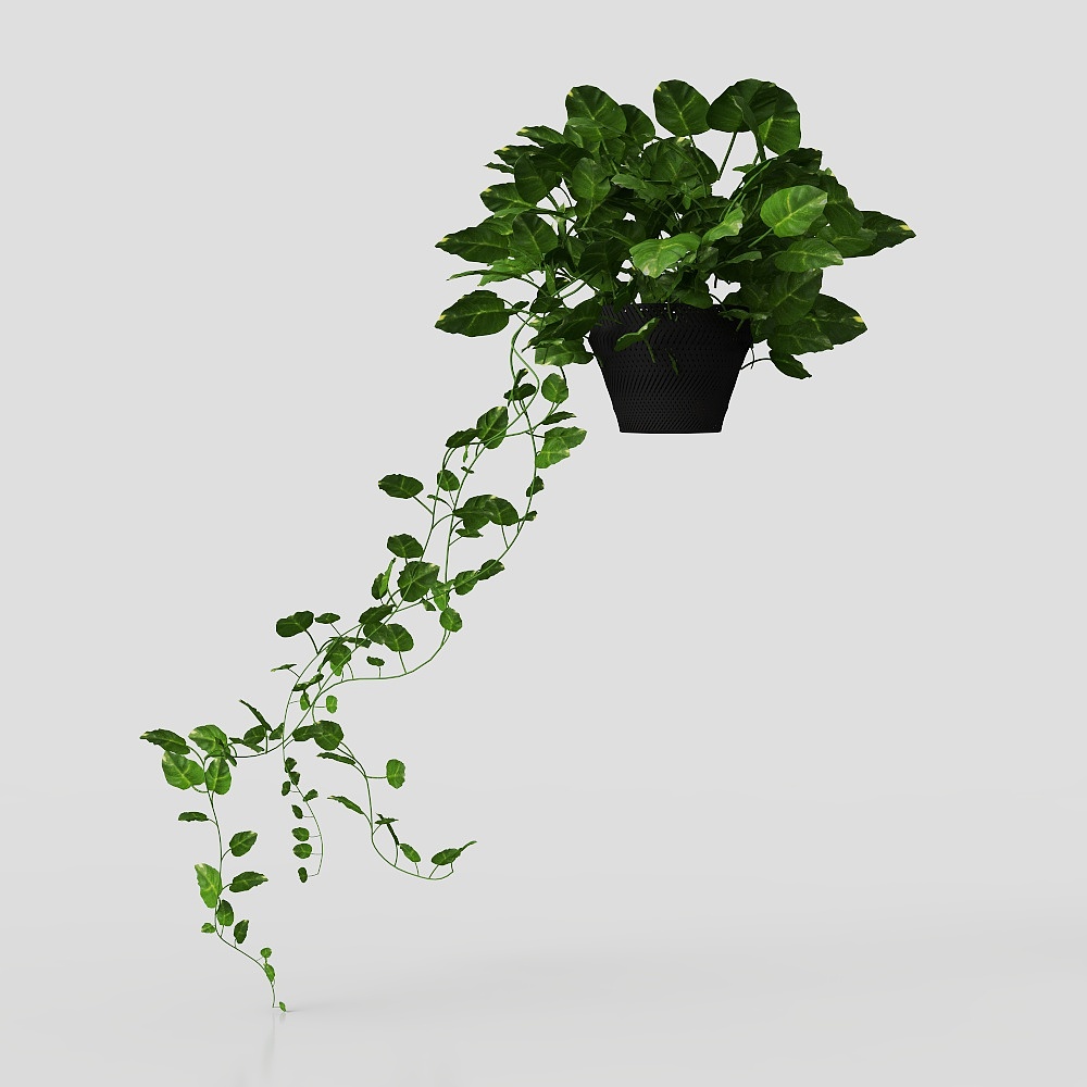 Green plant ornaments