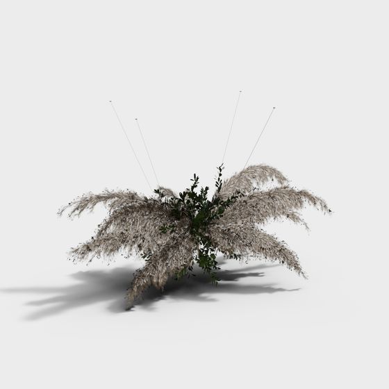 Pampas Grass 3D Model for Nature-Inspired Designs