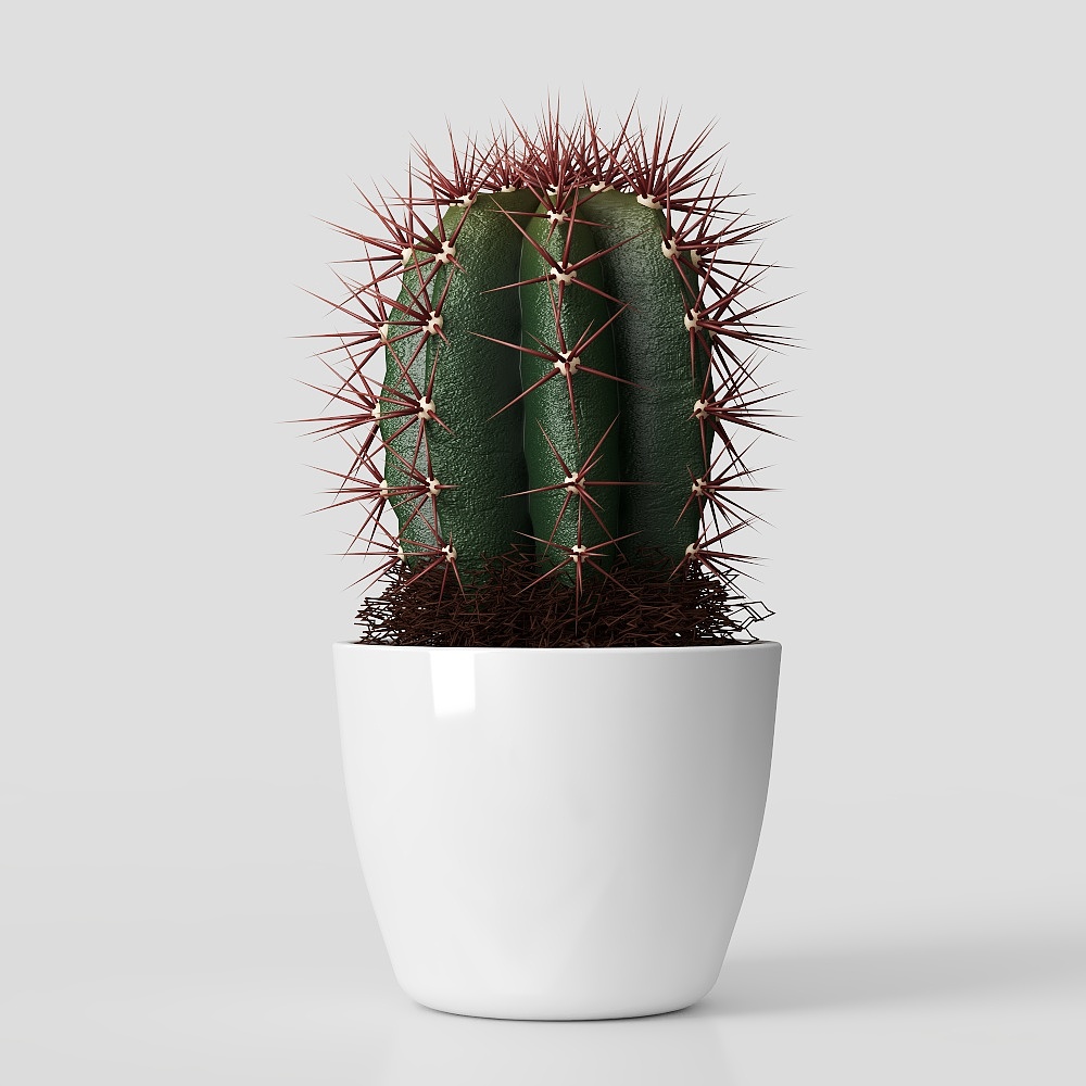 adornos de plantas verdes