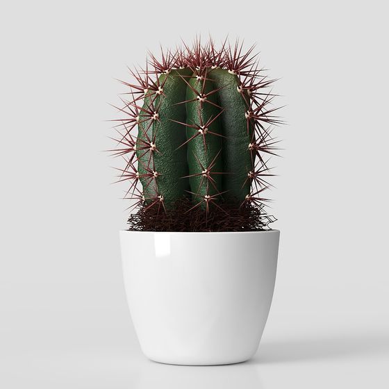 adornos de plantas verdes