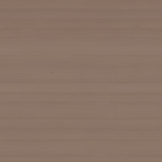 Lacquer Wood 3D Model in Natural Wood Finish