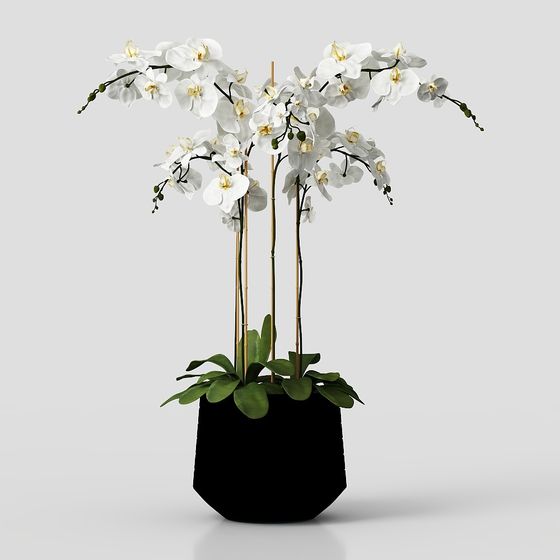 녹색 식물 장식품