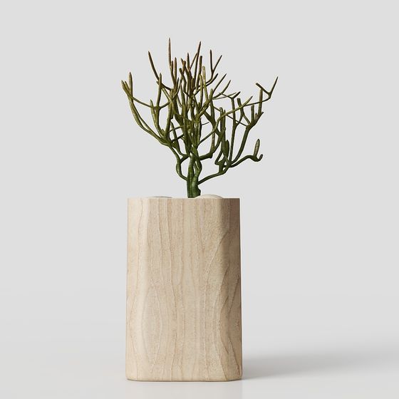 Wooden Vase with Green Plants 3D model for Interior Design
