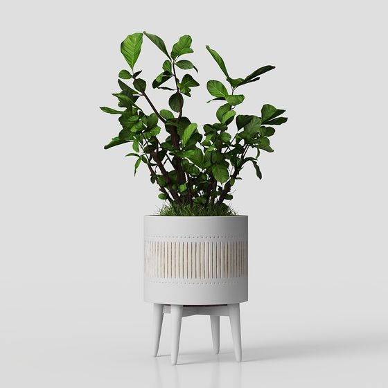 Ornements de plantes vertes