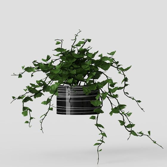 Hanging Vines Plant 3D Model for Creative Projects