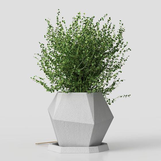 Urban Oasis Planter 3D model for Modern Spaces
