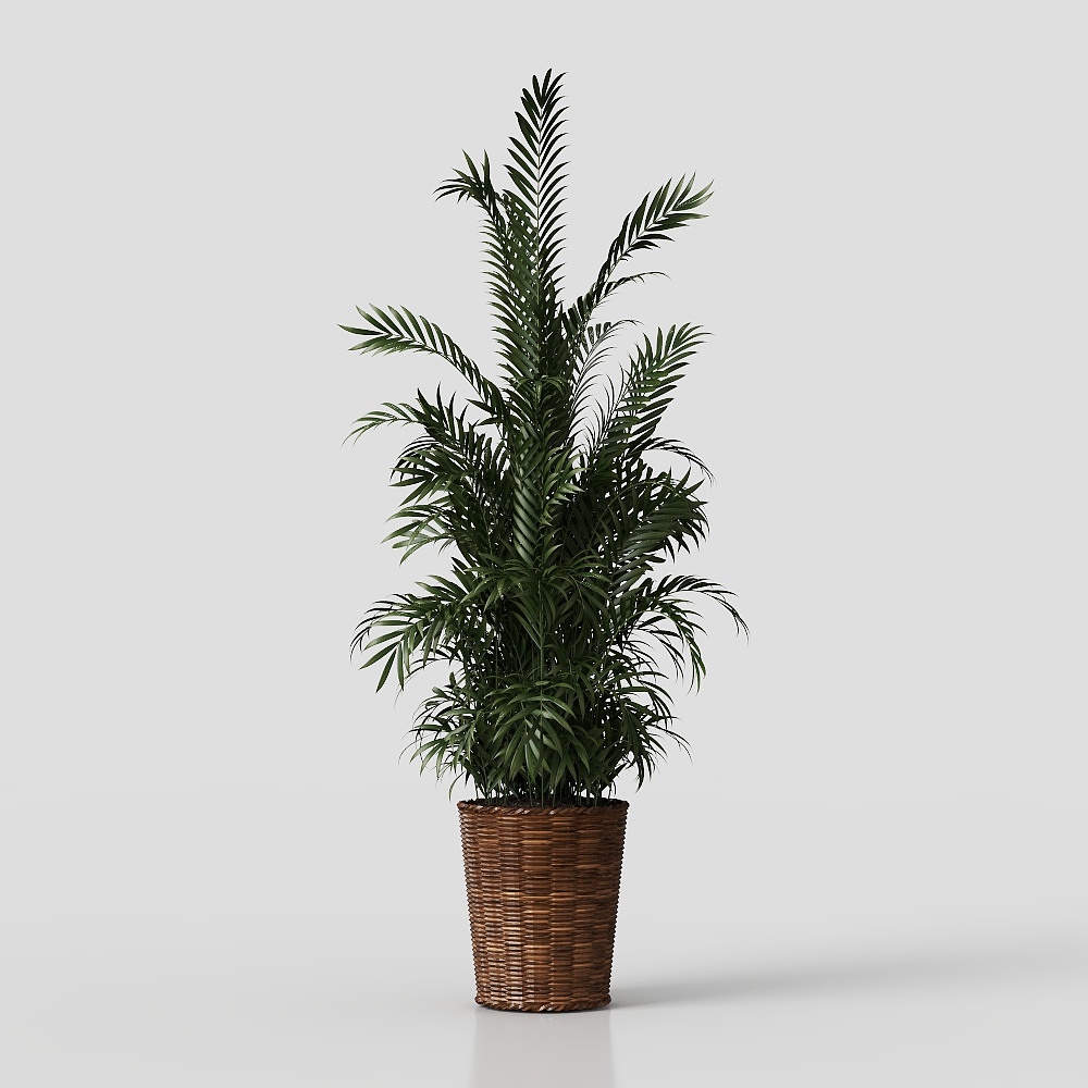 Modern green plant