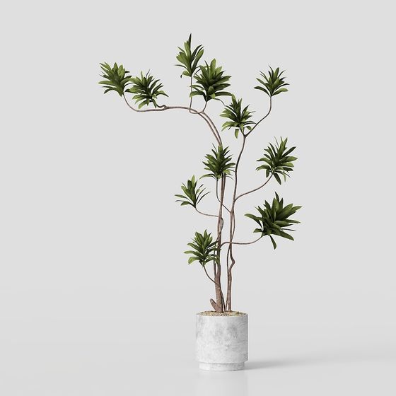 Urban Plant 3D Model for Designers