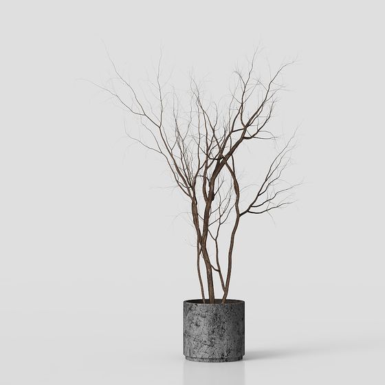 Winter Dry Wood Bonsai 3D model