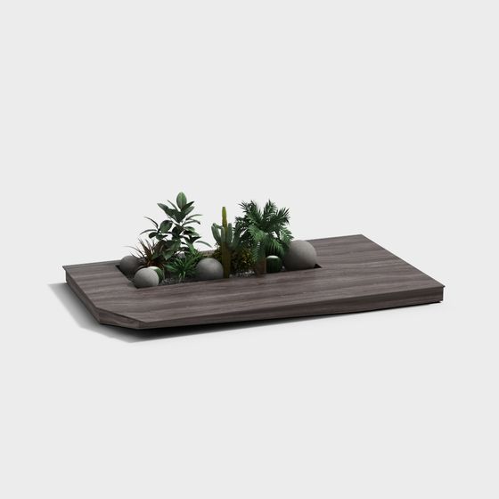 Desert Garden 3D Model for Designers and Developers