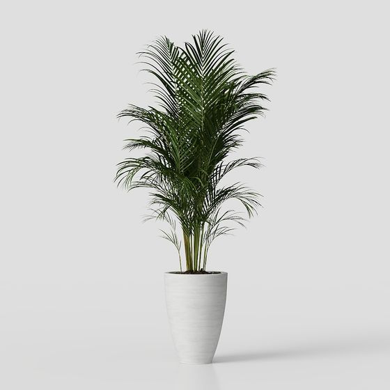 Realistic Indoor Plant 3D Model