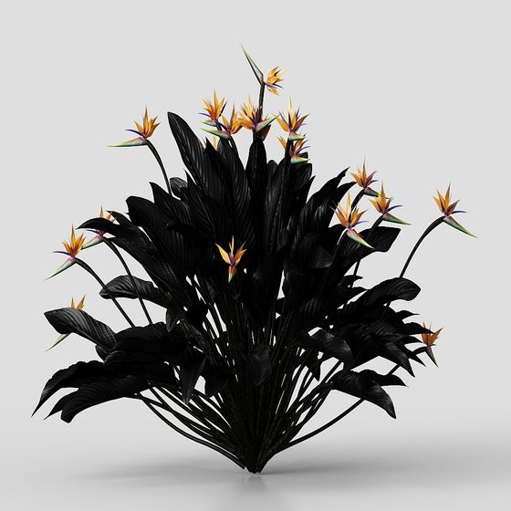 зеленые растения