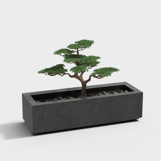 Bonsai Garden 3D model