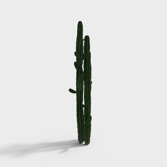 Vibrant Cactus 3D Model for Creative Projects